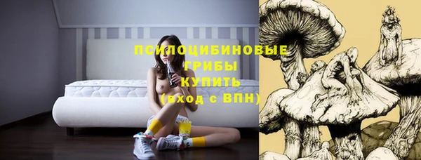 винт Кукмор