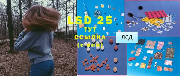 молекула духа Краснослободск